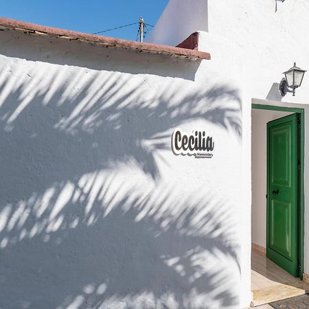 Estancia Cecilia La Orotava Εξωτερικό φωτογραφία